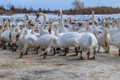 477673817_10160240958147303_1896927029216489903_n