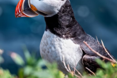 534712767_10164045534611967_7142570801136976385_n