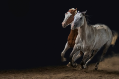 545931663_10161902972692688_6796729154725068096_n