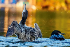 549423967_10161426083911536_5106267401052053803_n