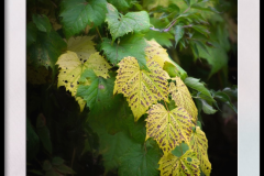 553095035_10172100787105425_8357830525540464320_n